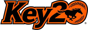 Key 20 Consultations
